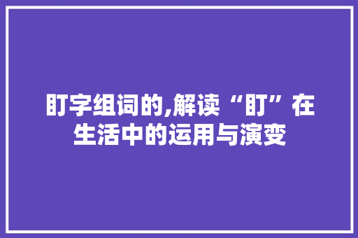 盯字组词的,解读“盯”在生活中的运用与演变