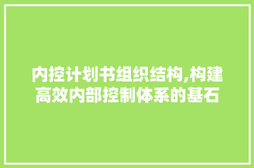 内控计划书组织结构,构建高效内部控制体系的基石