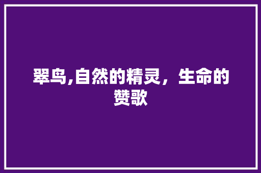 翠鸟,自然的精灵，生命的赞歌