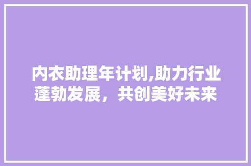 内衣助理年计划,助力行业蓬勃发展，共创美好未来