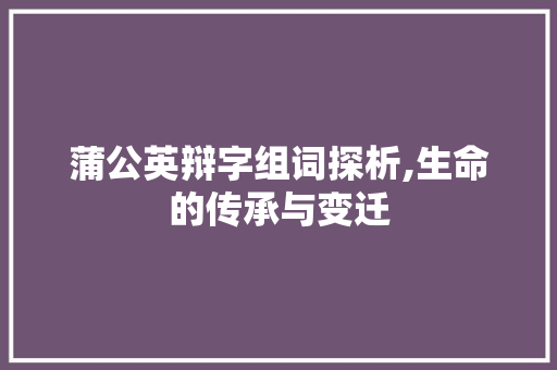 蒲公英辩字组词探析,生命的传承与变迁