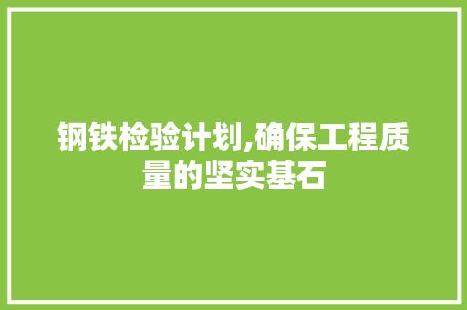 钢铁检验计划,确保工程质量的坚实基石