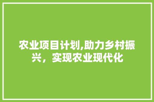 农业项目计划,助力乡村振兴，实现农业现代化