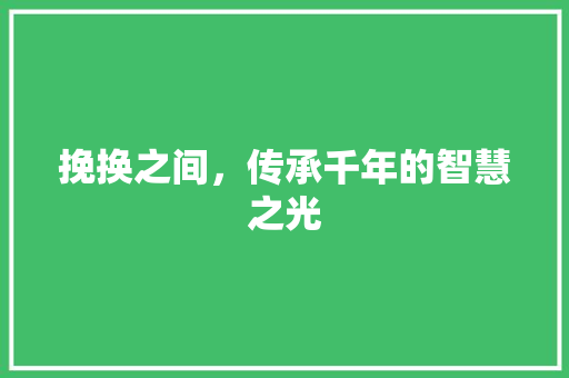 挽换之间，传承千年的智慧之光