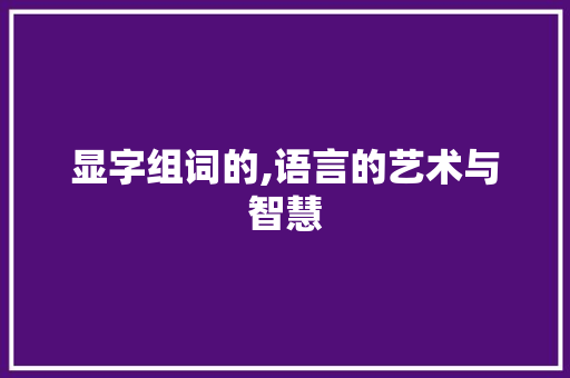 显字组词的,语言的艺术与智慧 短语