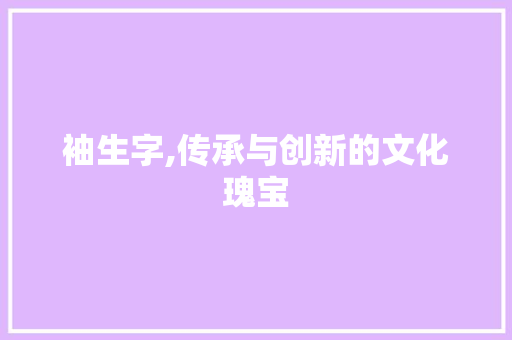 袖生字,传承与创新的文化瑰宝