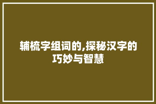 辅梳字组词的,探秘汉字的巧妙与智慧