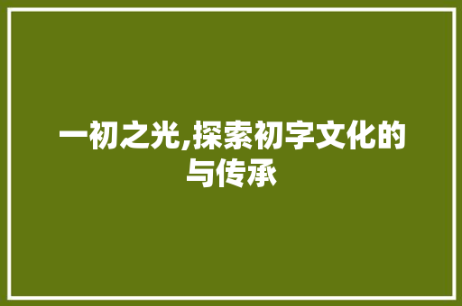 一初之光,探索初字文化的与传承