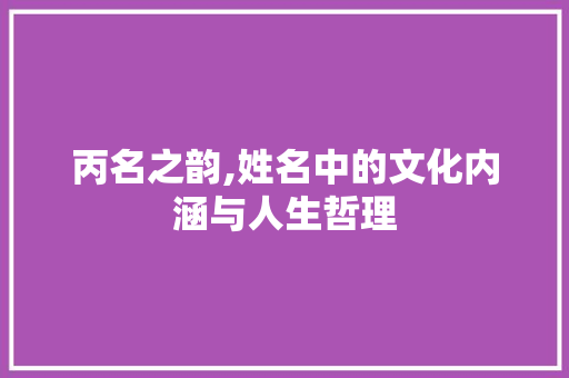 丙名之韵,姓名中的文化内涵与人生哲理 汉字拼音