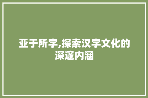 亚于所字,探索汉字文化的深邃内涵