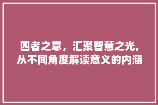 四者之意，汇聚智慧之光,从不同角度解读意义的内涵_四个人的意思的字