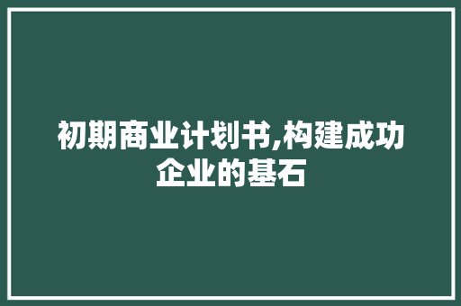 初期商业计划书,构建成功企业的基石