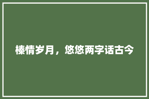 榛情岁月，悠悠两字话古今