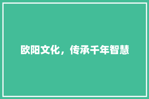 欧阳文化，传承千年智慧 汉字拼音