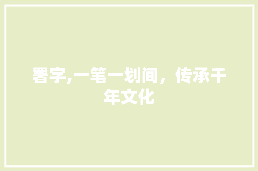 署字,一笔一划间，传承千年文化
