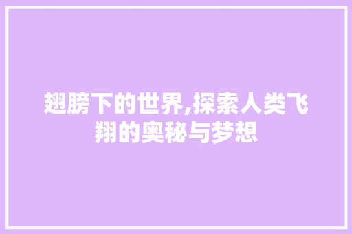 翅膀下的世界,探索人类飞翔的奥秘与梦想