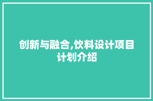 创新与融合,饮料设计项目计划介绍