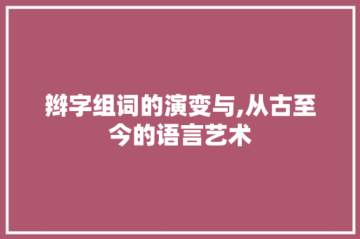 辫字组词的演变与,从古至今的语言艺术
