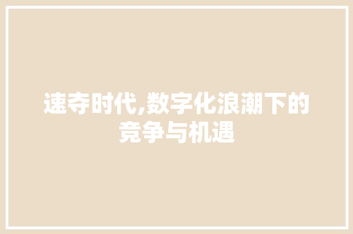 速夺时代,数字化浪潮下的竞争与机遇