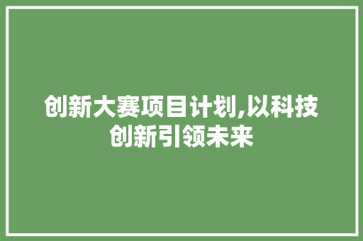 创新大赛项目计划,以科技创新引领未来