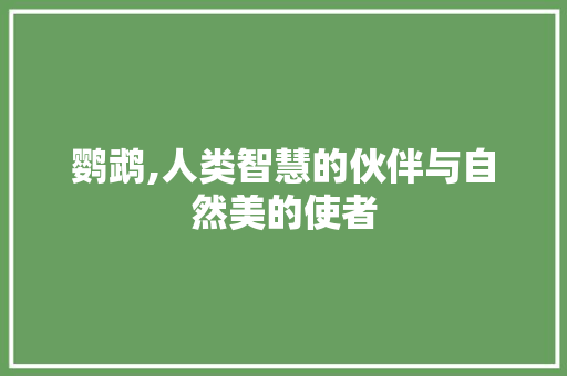 鹦鹉,人类智慧的伙伴与自然美的使者 古代典籍