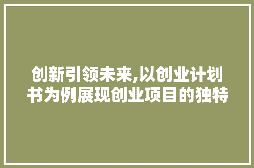 创新引领未来,以创业计划书为例展现创业项目的独特魅力