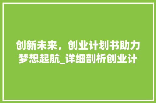 创新未来，创业计划书助力梦想起航_详细剖析创业计划书的装订艺术