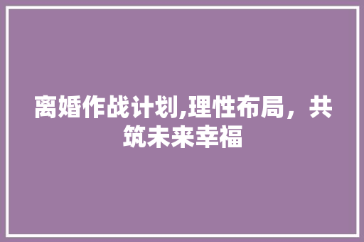 离婚作战计划,理性布局，共筑未来幸福