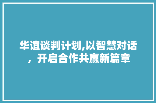 华谊谈判计划,以智慧对话，开启合作共赢新篇章