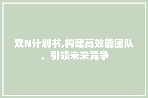 双N计划书,构建高效能团队，引领未来竞争