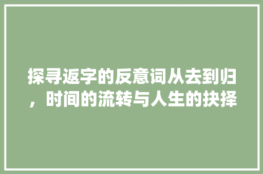 探寻返字的反意词从去到归，时间的流转与人生的抉择_返字的反意词是什么意思