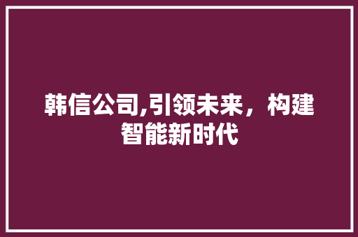 韩信公司,引领未来，构建智能新时代