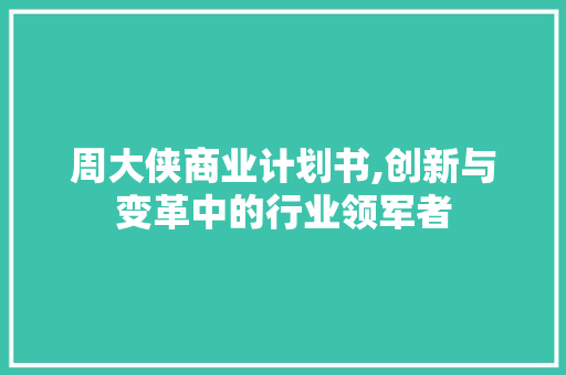 周大侠商业计划书,创新与变革中的行业领军者 汉字拼音