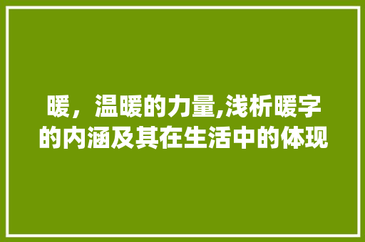 暖，温暖的力量,浅析暖字的内涵及其在生活中的体现_暖暖的暖字什么意思