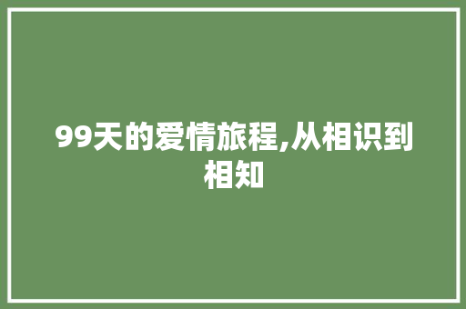 99天的爱情旅程,从相识到相知