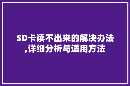 SD卡读不出来的解决办法,详细分析与适用方法 反义词汇
