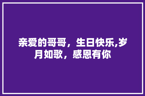 亲爱的哥哥，生日快乐,岁月如歌，感恩有你