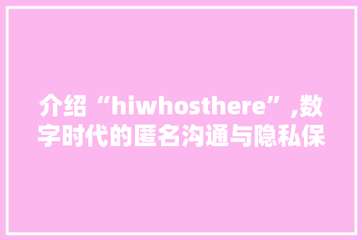 介绍“hiwhosthere”,数字时代的匿名沟通与隐私保护