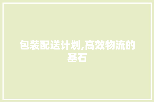 包装配送计划,高效物流的基石