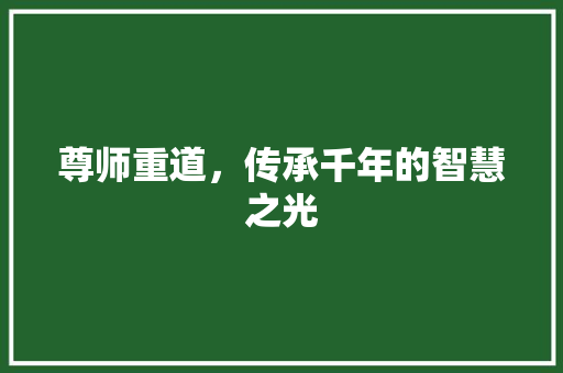 尊师重道，传承千年的智慧之光