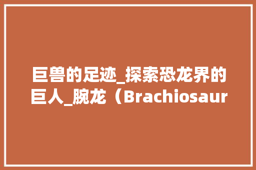 巨兽的足迹_探索恐龙界的巨人_腕龙（Brachiosaurus） 汉字拼音