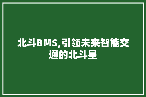 北斗BMS,引领未来智能交通的北斗星 英语单词