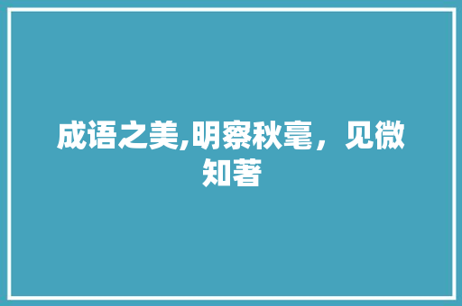 成语之美,明察秋毫，见微知著