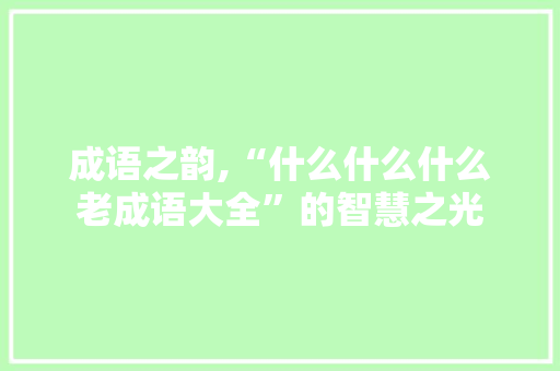 成语之韵,“什么什么什么老成语大全”的智慧之光