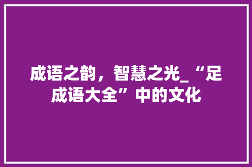 成语之韵，智慧之光_“足成语大全”中的文化