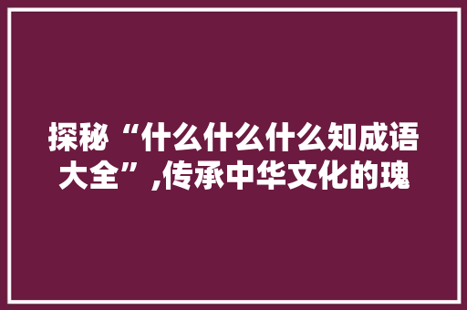探秘“什么什么什么知成语大全”,传承中华文化的瑰宝