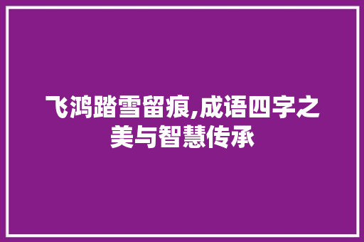飞鸿踏雪留痕,成语四字之美与智慧传承