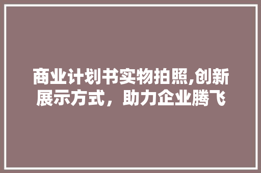 商业计划书实物拍照,创新展示方式，助力企业腾飞