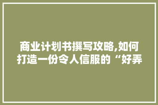 商业计划书撰写攻略,如何打造一份令人信服的“好弄吗” 反义词汇