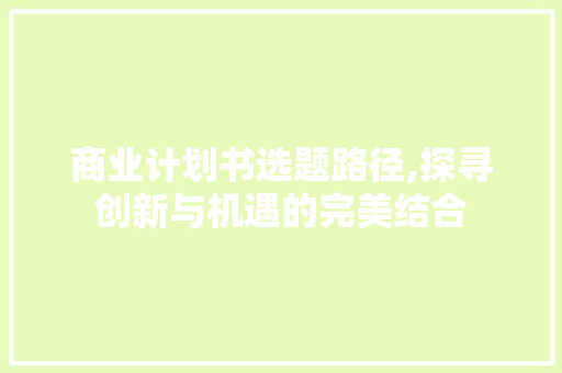商业计划书选题路径,探寻创新与机遇的完美结合